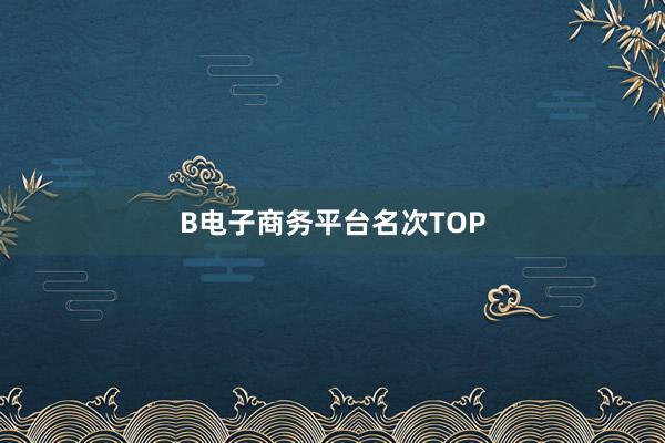 B电子商务平台名次TOP