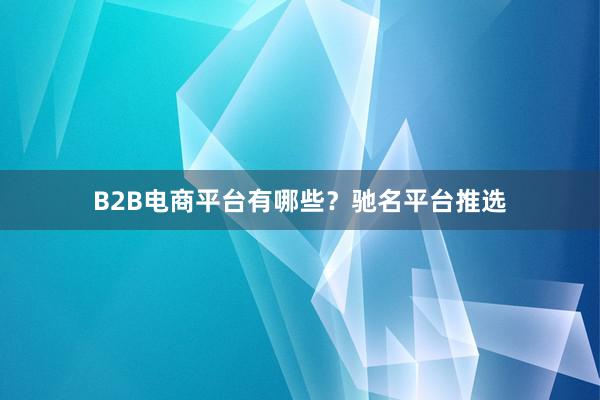 B2B电商平台有哪些？驰名平台推选